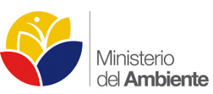 logo_mae