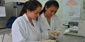 CAPACITACIÓN FORTALECE USO DE LABORATORIOS