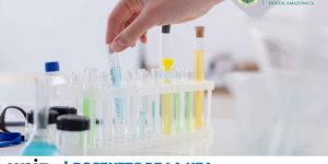 CATEDRÁTICOS DE LA UEA RECIBEN CAPACITACIÓN DE LA UNIR EN PROYECTOS INTERNACIONALES DE INVESTIGACIÓN
