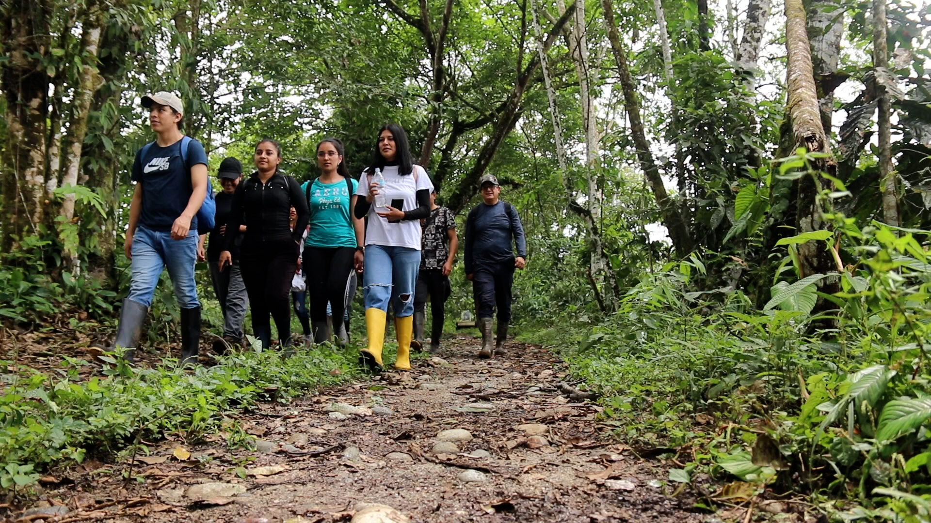 FORESTAL_web