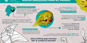 MASDEVALLIA RUBILEOIXCHELORUM: UNA NUEVA ORQUÍDEA PARA EL MUNDO